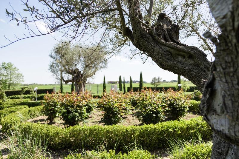 Podere San Giuseppe - Genel