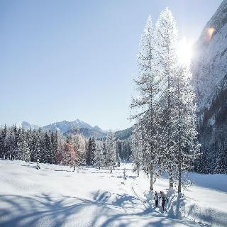 AlpenParks Chalet & Apartment Alpina Seefeld fotoÄŸrafÄ±
