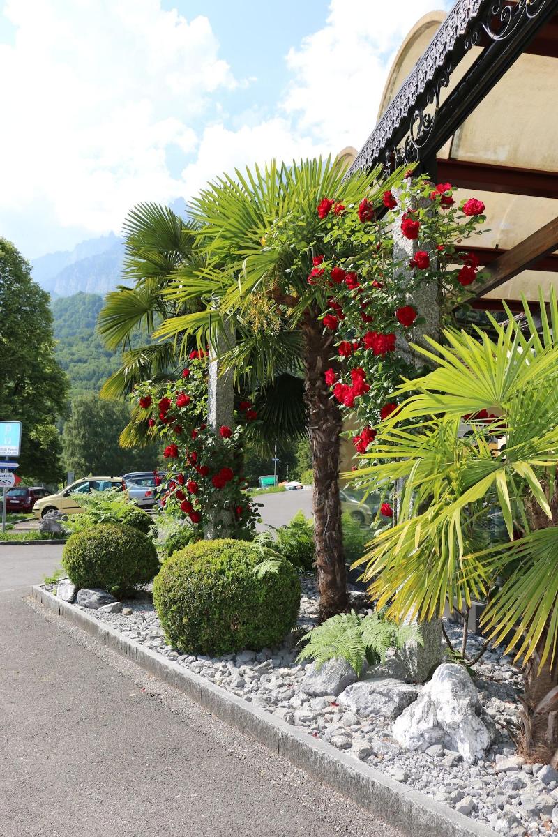 Hotel Seehof Superior - Genel