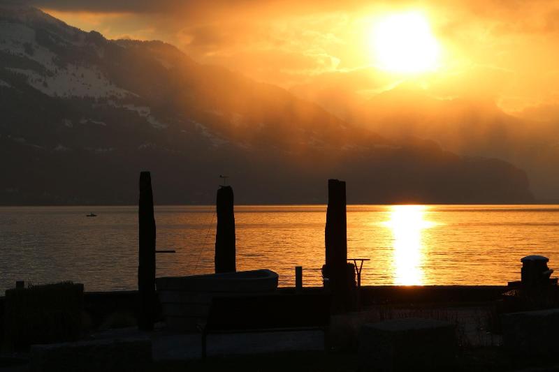 Hotel Seehof Superior - Genel