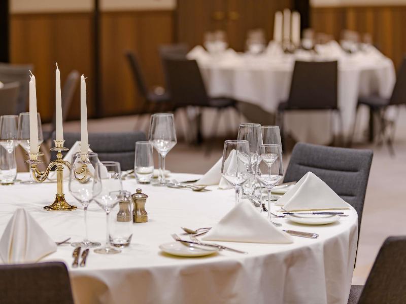 Movenpick Hotel Basel - Toplantı