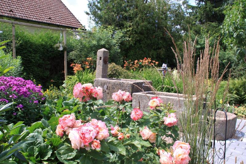 mein kleinHOTEL Herbstein - Genel