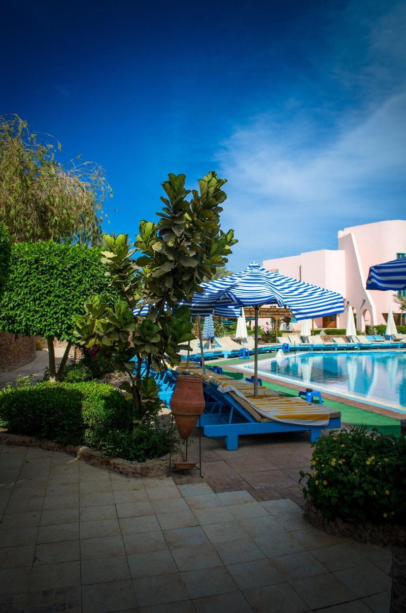 Zahabia Resort & Hotel - Aktivite