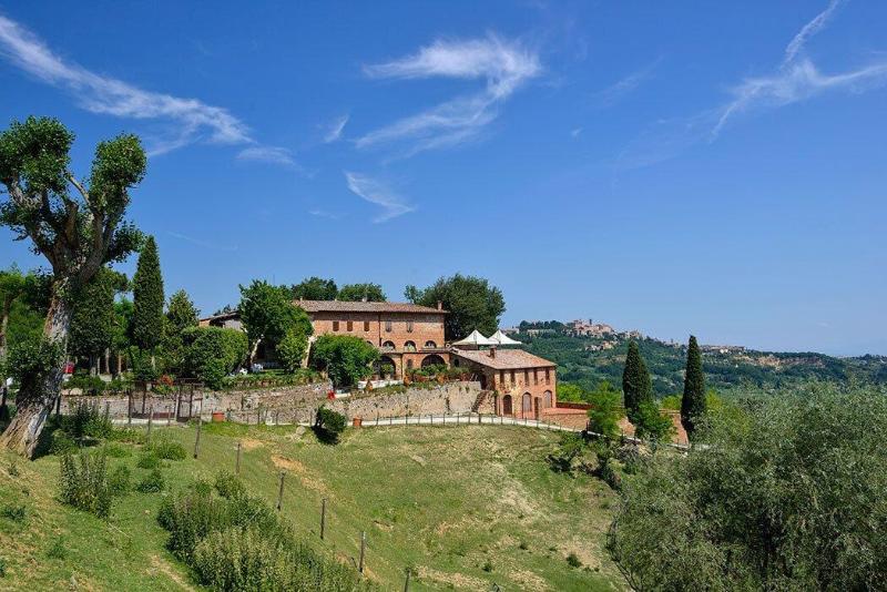 Palazzo Tombesi Trecci - Aktivite
