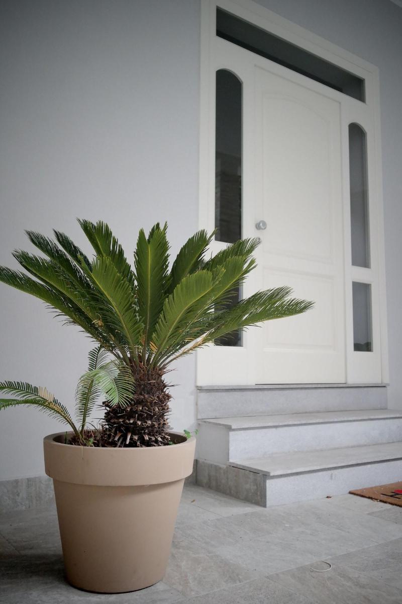 Villa di Nera B&B - Genel