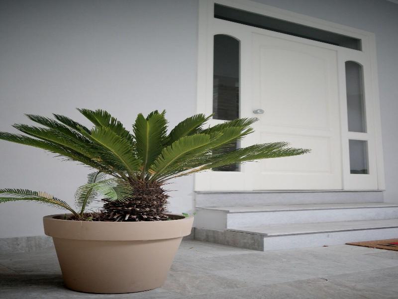 Villa di Nera B&B - Teras