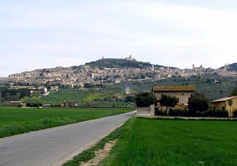 Camere Gambacorta - Genel