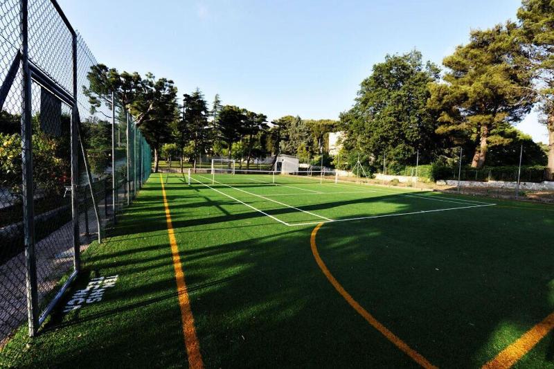 Villa Pesce - Aktivite
