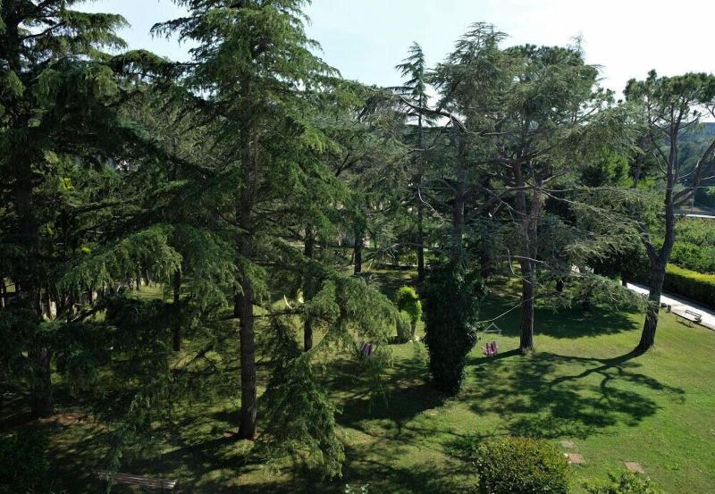 Villa Pesce - Genel