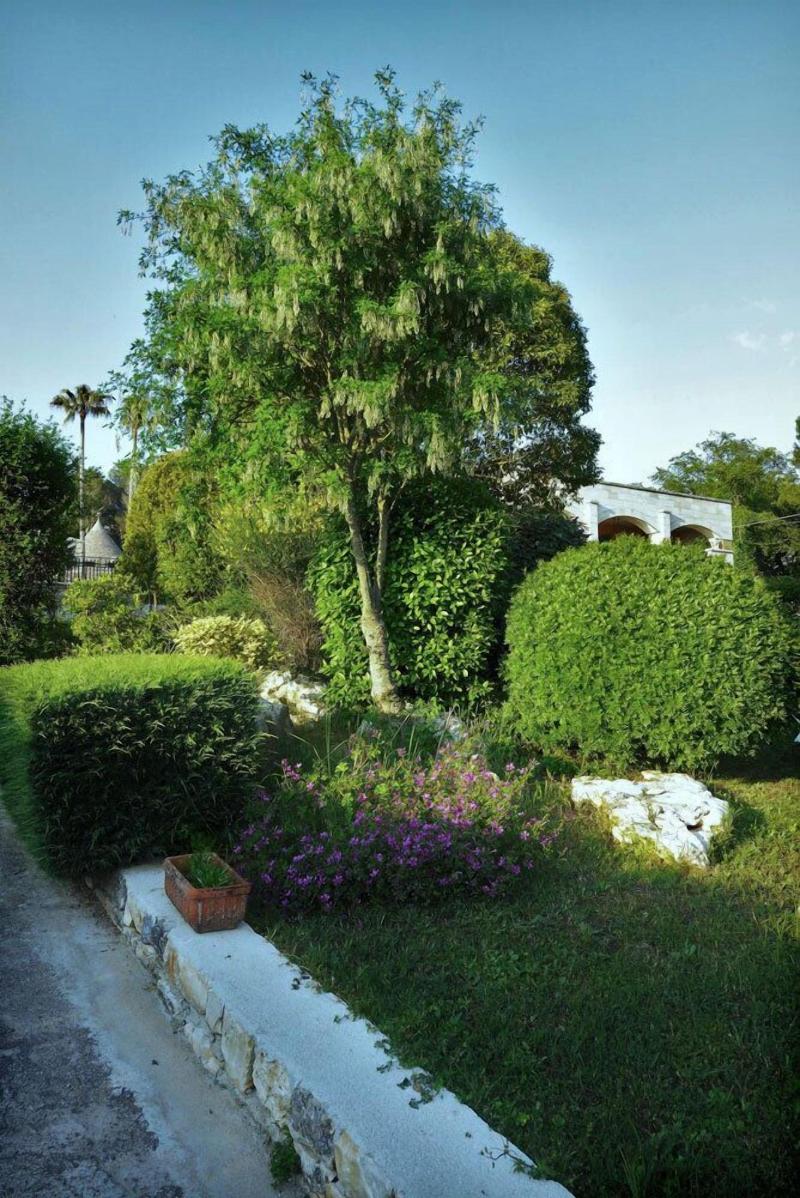 Villa Pesce - Genel