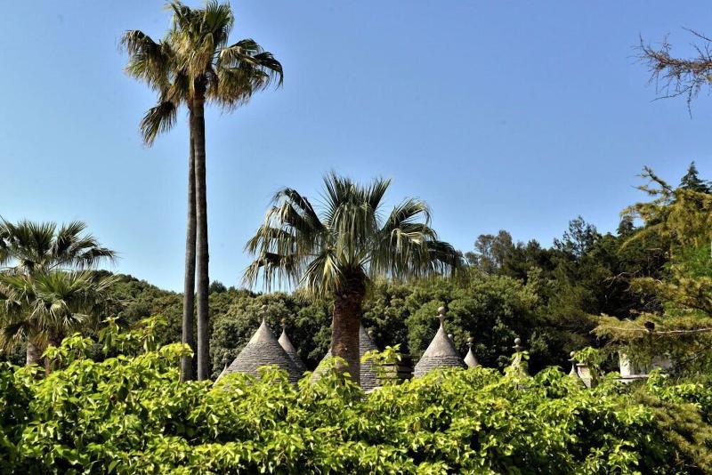 Villa Pesce - Genel