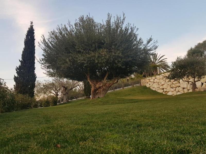 Hotel Villa Flora Relais - Genel