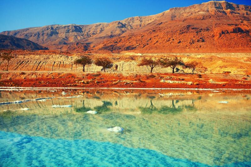 Opal Hotel Amman - Genel