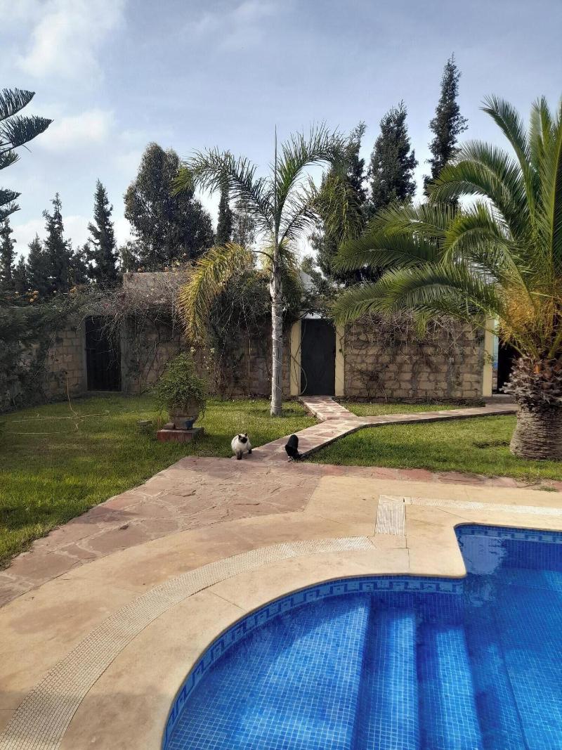 Riad Tanjil - Genel