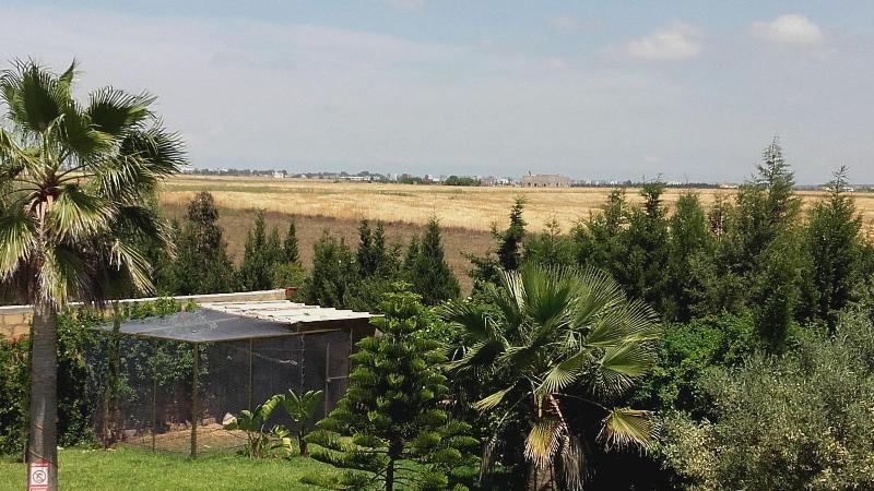 Riad Tanjil - Oda
