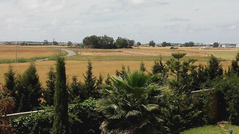 Riad Tanjil - Oda