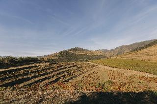 Ventozelo Hotel & Quinta fotoÄŸrafÄ±