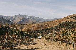 Ventozelo Hotel & Quinta fotoÄŸrafÄ±