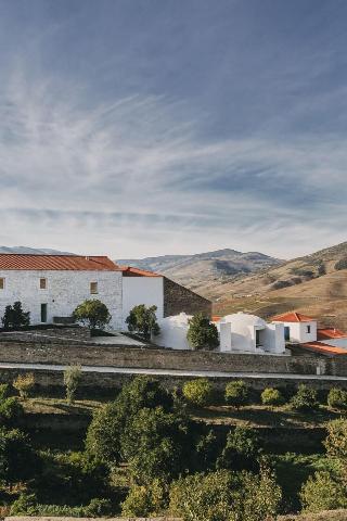 Ventozelo Hotel & Quinta fotoÄŸrafÄ±