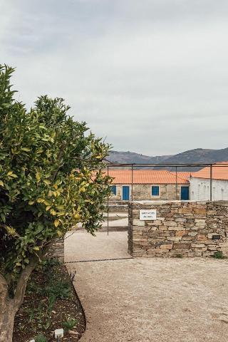 Ventozelo Hotel & Quinta fotoÄŸrafÄ±