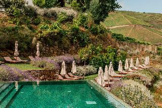 Ventozelo Hotel & Quinta fotoÄŸrafÄ±