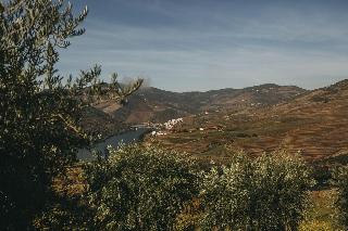 Ventozelo Hotel & Quinta fotoÄŸrafÄ±