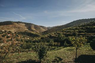 Ventozelo Hotel & Quinta fotoÄŸrafÄ±
