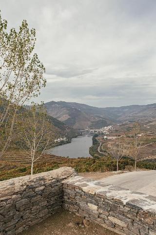 Ventozelo Hotel & Quinta fotoÄŸrafÄ±