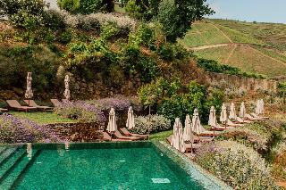 Ventozelo Hotel & Quinta fotoÄŸrafÄ±