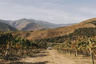 Ventozelo Hotel & Quinta fotoÄŸrafÄ±