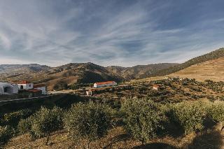 Ventozelo Hotel & Quinta fotoÄŸrafÄ±