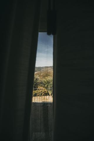 Ventozelo Hotel & Quinta fotoÄŸrafÄ±