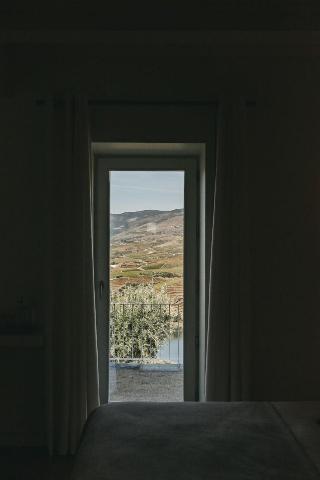 Ventozelo Hotel & Quinta fotoÄŸrafÄ±