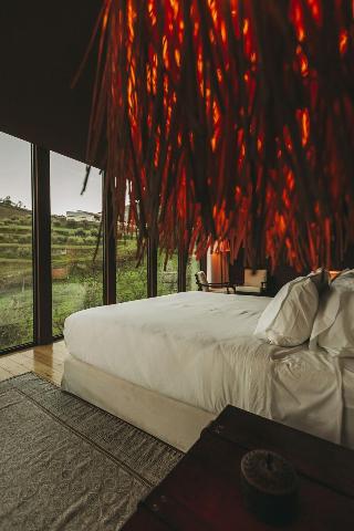 Ventozelo Hotel & Quinta fotoÄŸrafÄ±