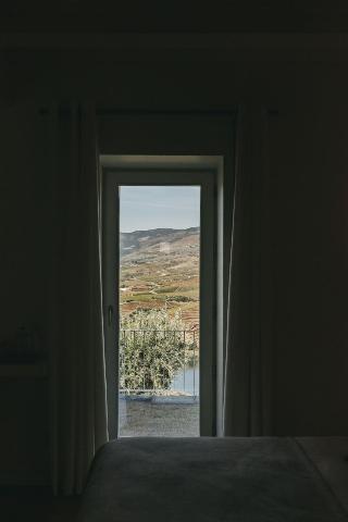 Ventozelo Hotel & Quinta fotoÄŸrafÄ±