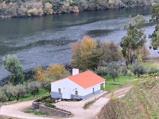 Ventozelo Hotel & Quinta fotoÄŸrafÄ±