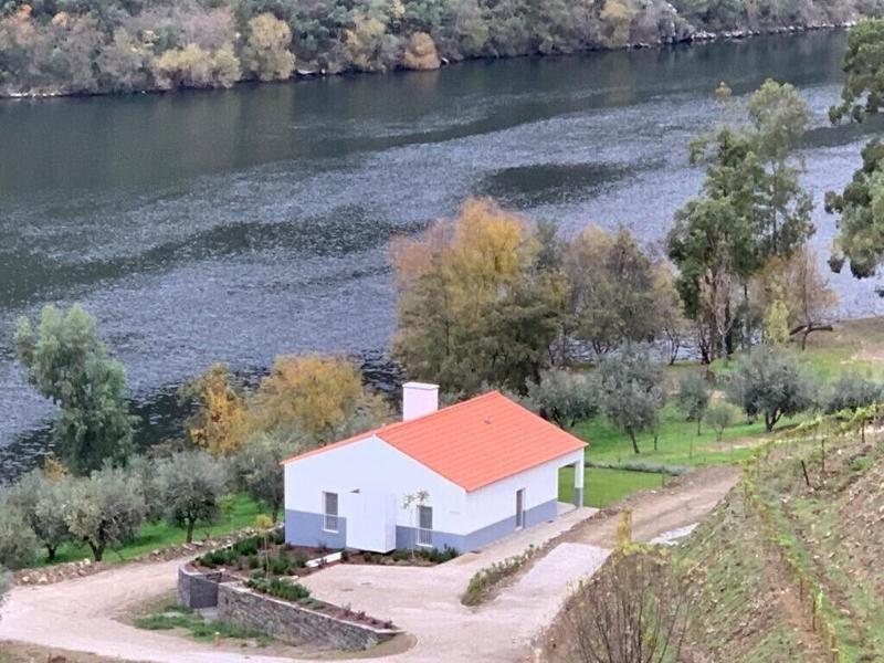 Ventozelo Hotel & Quinta - Teras