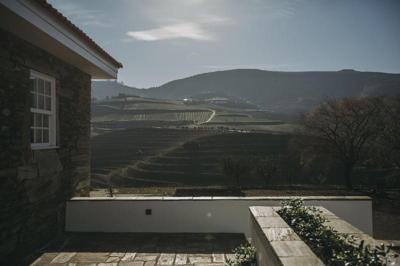 Ventozelo Hotel & Quinta - Teras