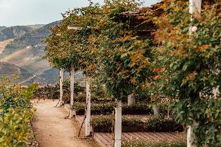 Ventozelo Hotel & Quinta fotoÄŸrafÄ±