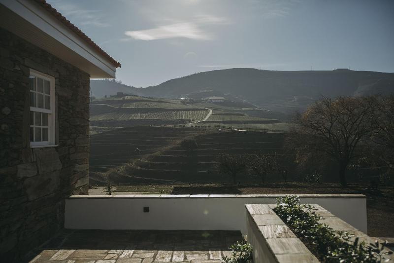 Ventozelo Hotel & Quinta - Teras