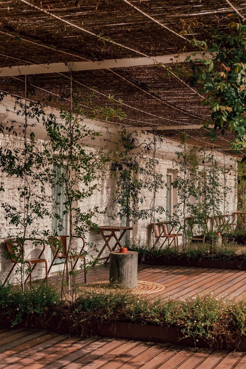 Ventozelo Hotel & Quinta - Teras