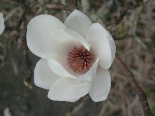 Quinta das BuganvÃlias otel fotoğrafı