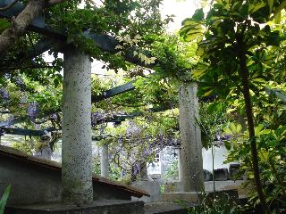 Quinta das BuganvÃ­lias fotoÄŸrafÄ±