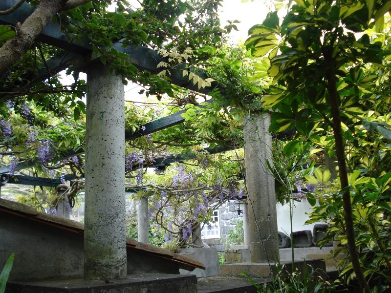 Quinta das BuganvÃ­lias - Genel