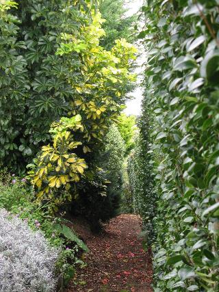 Quinta das BuganvÃ­lias fotoÄŸrafÄ±