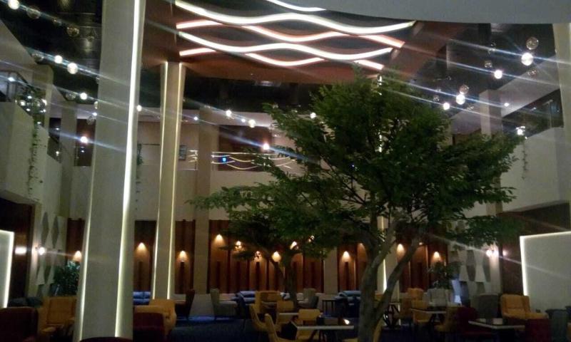 Celine Home Hotel - Bar
