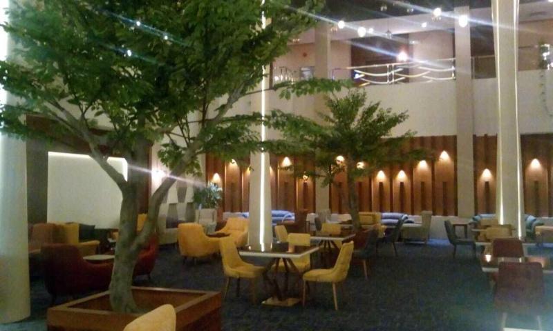 Celine Home Hotel - Bar