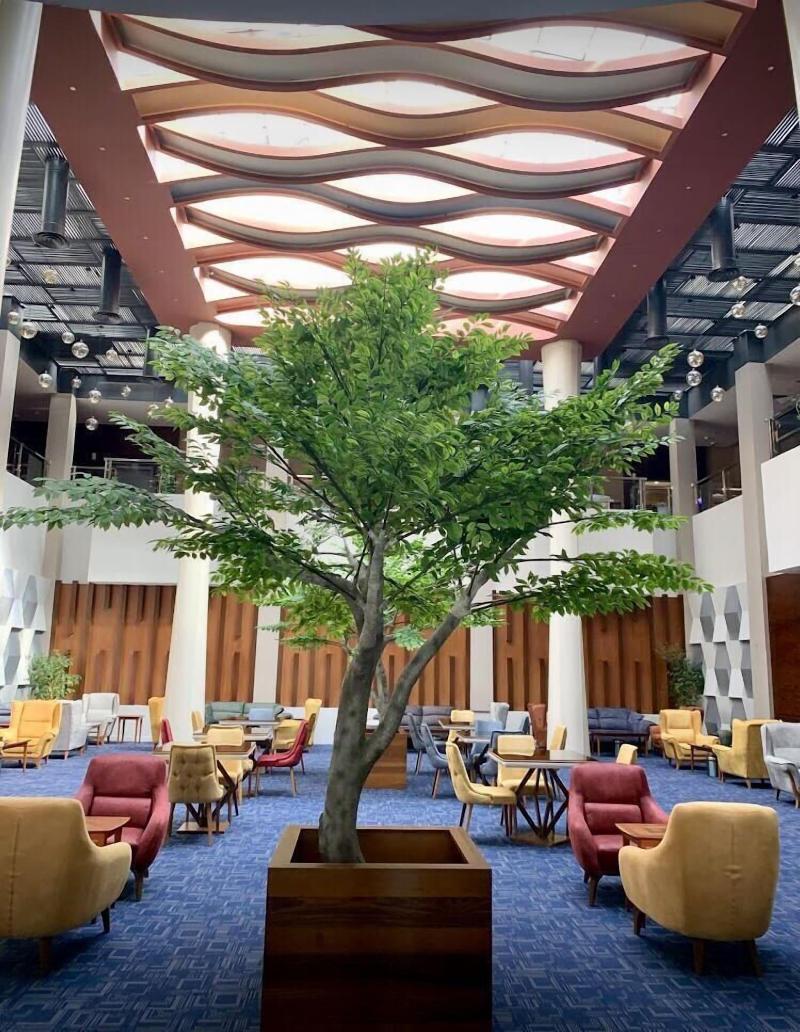 Celine Home Hotel - Restoran