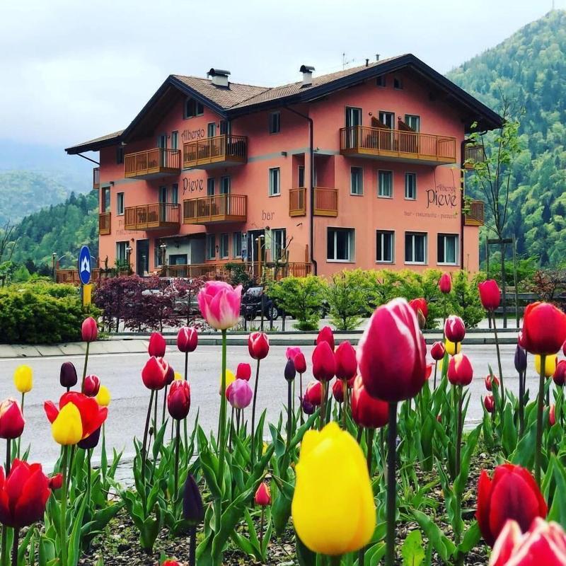 Albergo Pieve - Genel