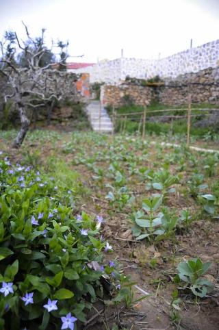 Terra Lodge fotoÄŸrafÄ±